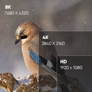 10K 8K HDMI 2.1 Cable 2-Pack 6.6FT, Highwings Certified 48Gbps Ultra High Speed Slim HDMI Cord,Support 4K@120Hz 8K@60Hz, HDCP 2.2&2.3, Dynamic HDR,eARC,DTS:X, Compatible with Roku TV/HDTV/PS5/Blu-ray